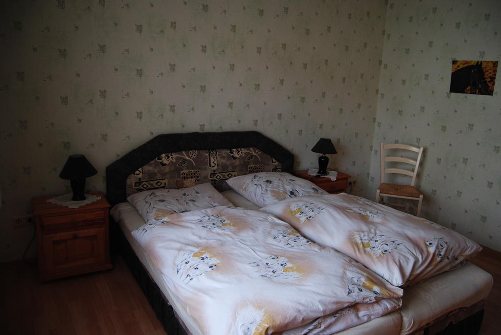 Gut Dankerode Apartment Dankerode  Cameră foto